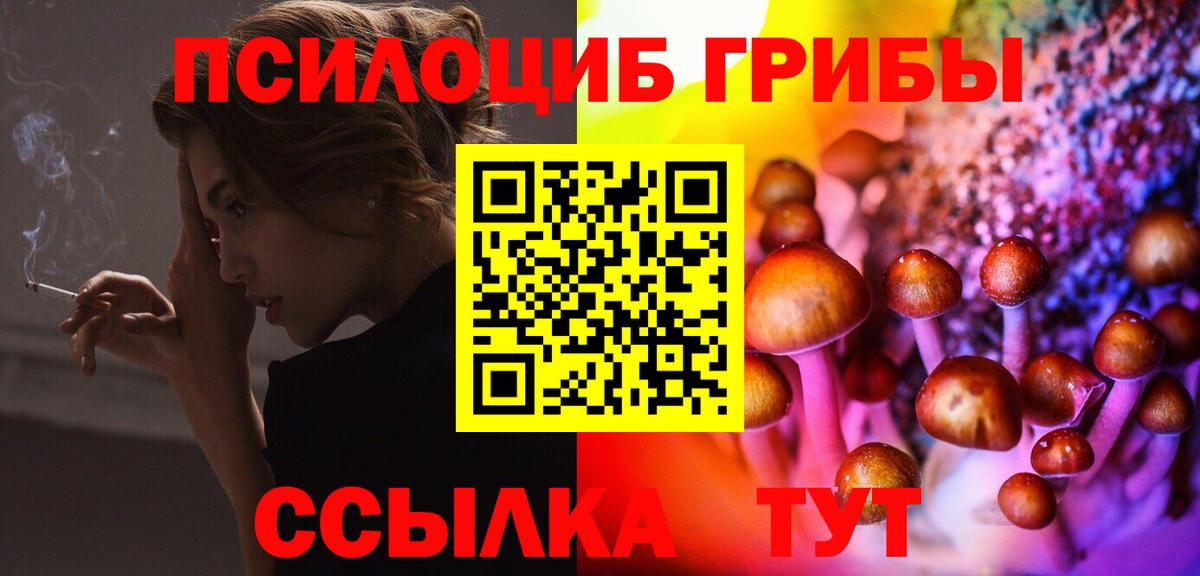 Галлюциногенные грибы GOLDEN TEACHER  купить  сайты  Вход с VPN  Киреевск  Псилоцибиновые грибы Psilocybe 